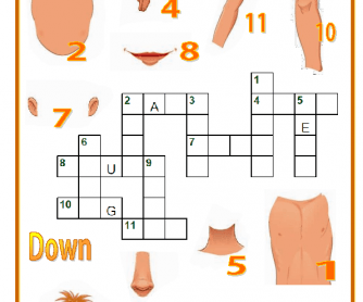 Parts of the Body Crossword Puzze