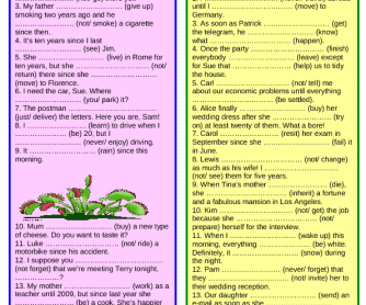Past Simple / Present Perfect & Past Simple / Past Perfect