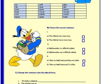 Plural Nouns Elementary Worksheet