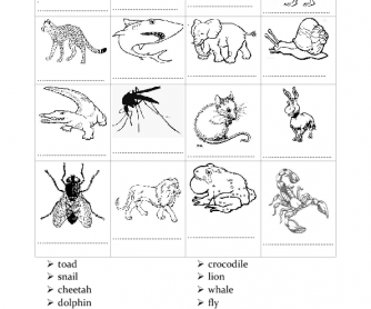Animal Vocabulary Worksheet