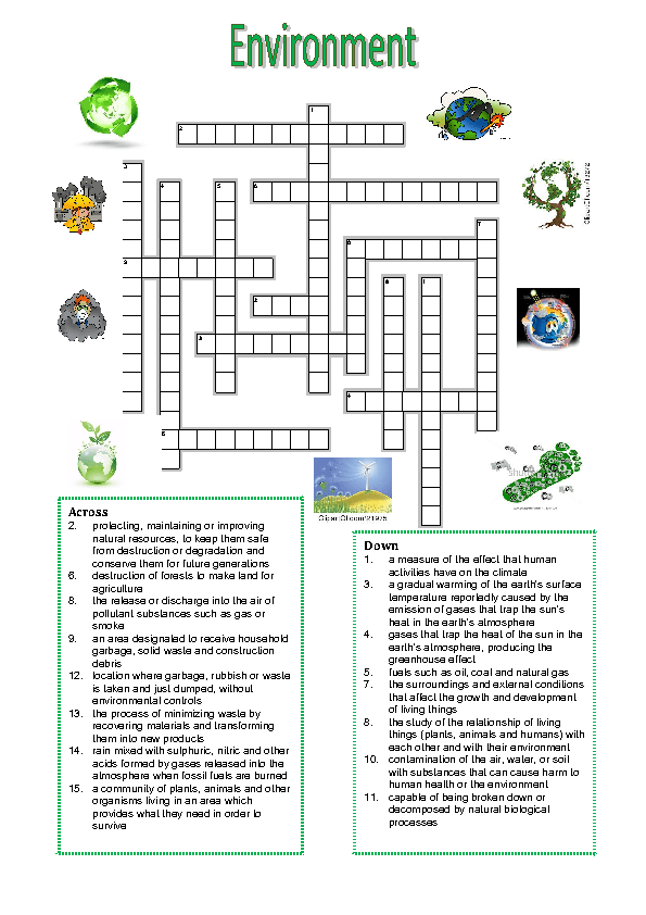 environment vocabulary crossword puzzle