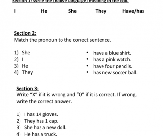 Teaching the Difference Between Has vs. Have