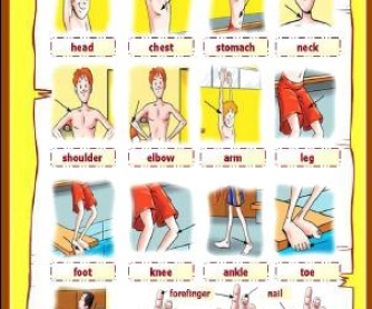 Body Parts Classroom Poster