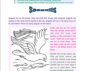 Seagulls- Reading Comprehension