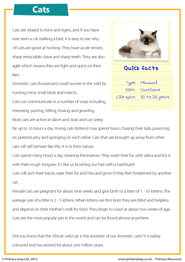 worksheet animal vocabulary pdf Reading Cats Comprehension