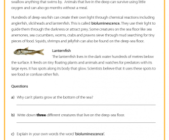 Deep-Sea Wildlife - Reading Comprehension