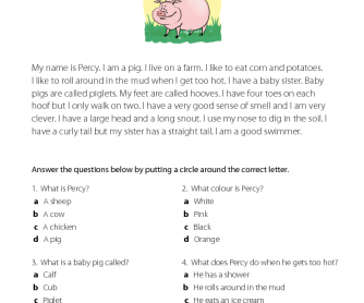 Percy the Pig - Reading Comprehension