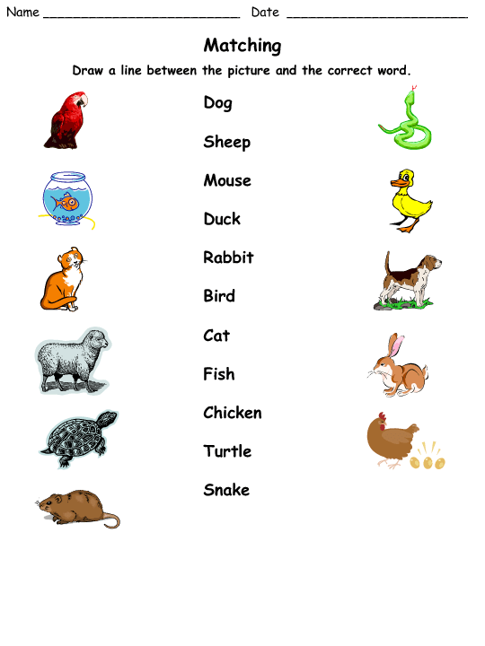 Matching Pets to Their Names