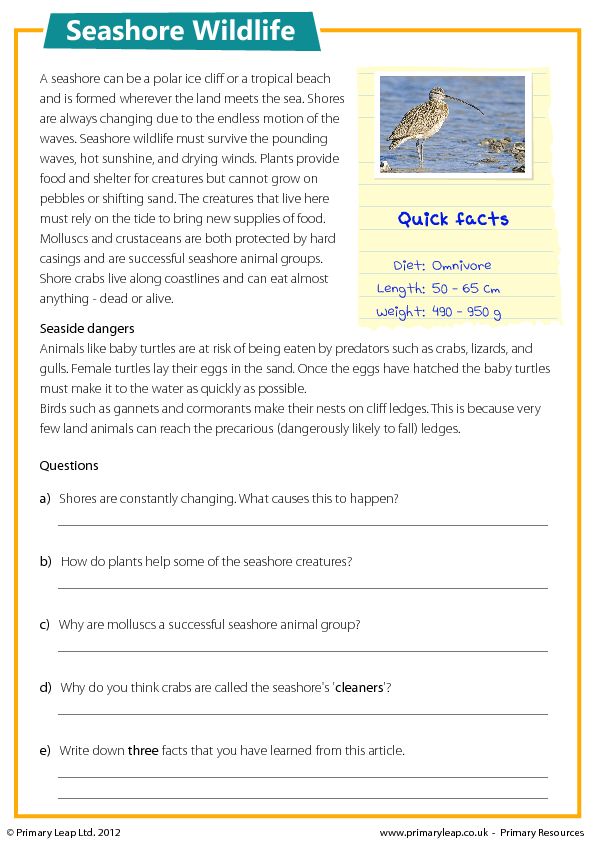 seashore wildlife reading comprehension