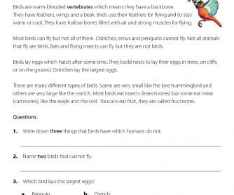 Birds - Reading Comprehension