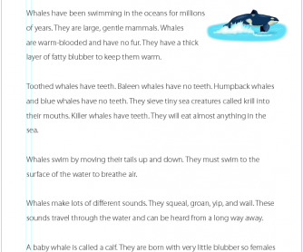 Whales (Non-fiction) - Reading Comprehension