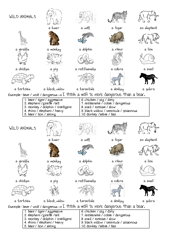 animal adjectives worksheet Comparing Animals