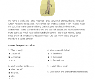 Molly the Meerkat - Reading Comprehension