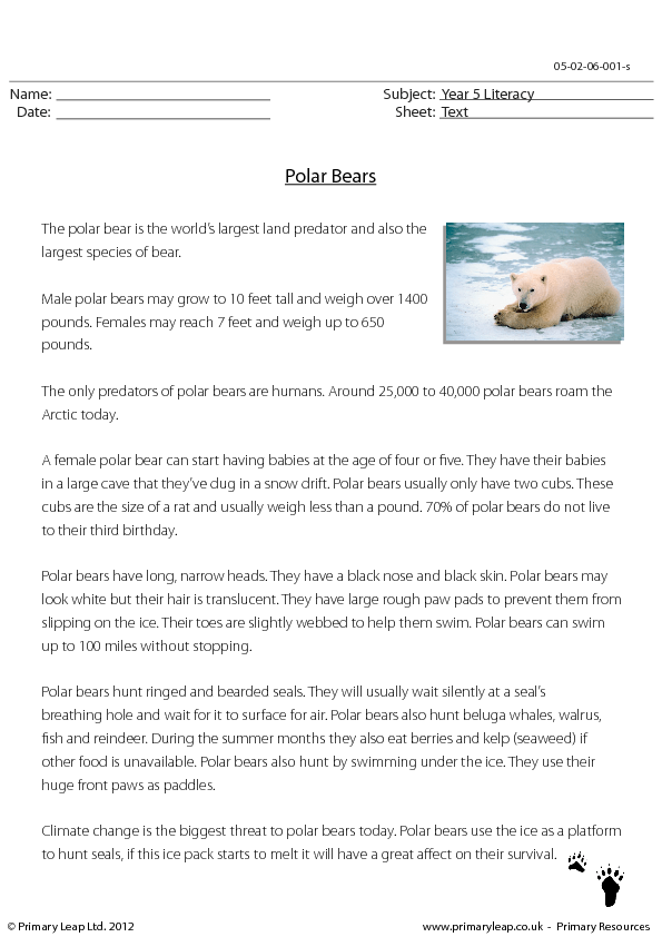 Polar Bear Reading Comprehension Worksheets Free Printable Pdf