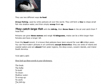 Song Worksheet: The Pelican Beak Song