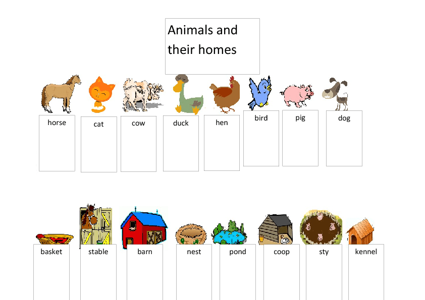 pet worksheet animals kindergarten for Animals and Homes Their