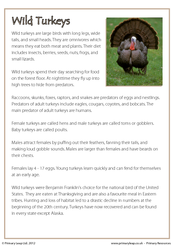 Thanksgiving Reading Comprehension - Wild Turkeys (Non-fiction)