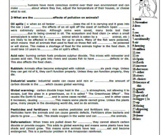 Animals and the Environment Vocabulary Worksheet