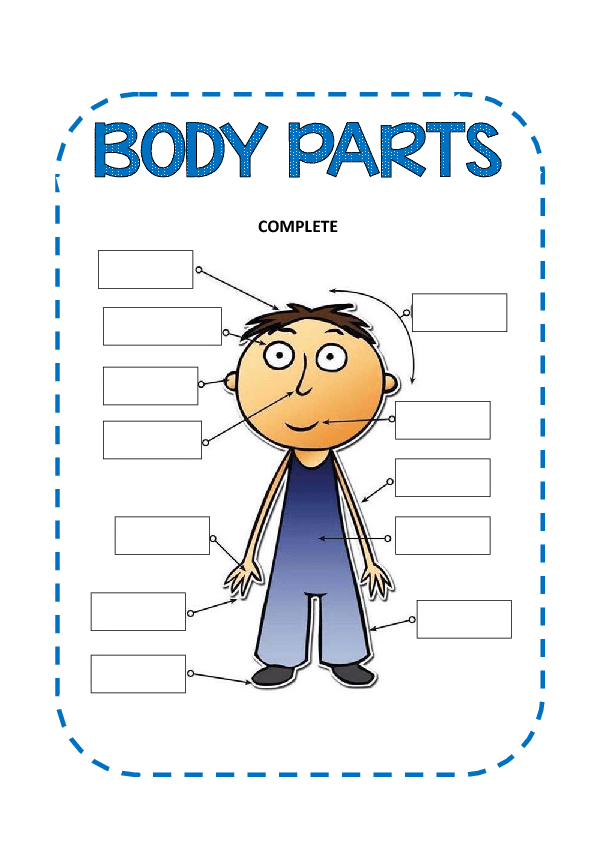 Body Parts