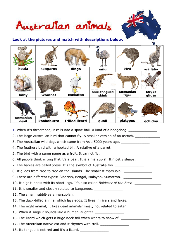 49 free australia new zealand worksheets