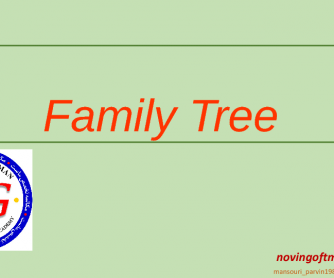 Family Tree - Brad Pitt and Angelina Jolie