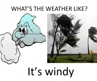 What's the Weather Like?