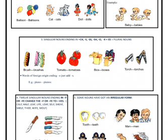Plural of Nouns Elementary Worksheet