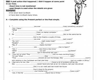 Present Perfect: Life Experience Worksheet