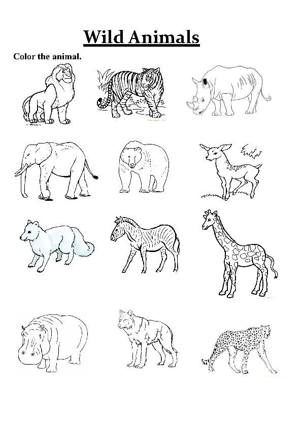 Colour the Biggest Animal First and Go On