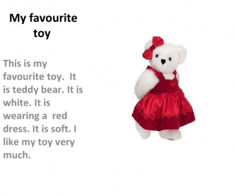 My Favourite Toy