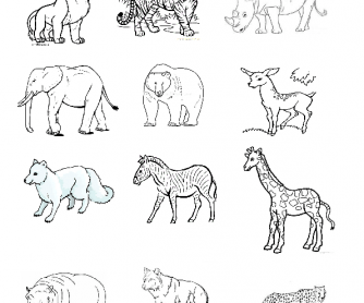 Colour the Biggest Animal First and Go On