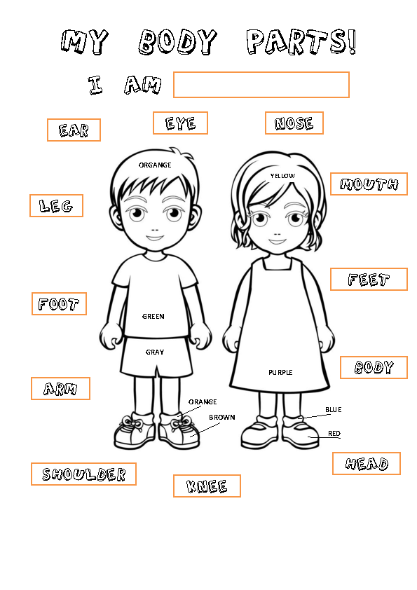 exam printable eye Parts Linking Body Activity