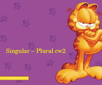 Singular Plural PPT