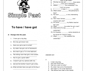 Simple Past: Have / Have Got