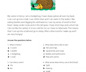 Henry the Hedgehog - Reading Comprehension