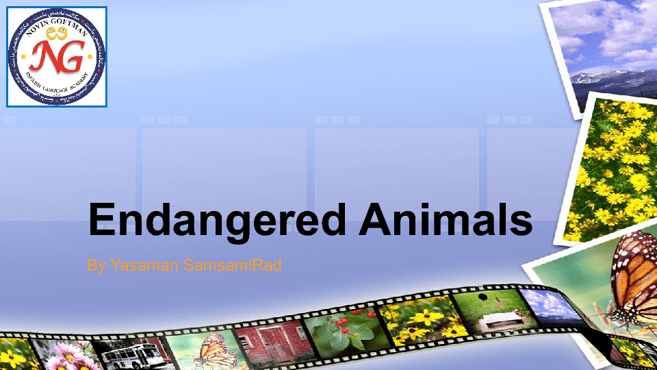 Endangered Animals PPT