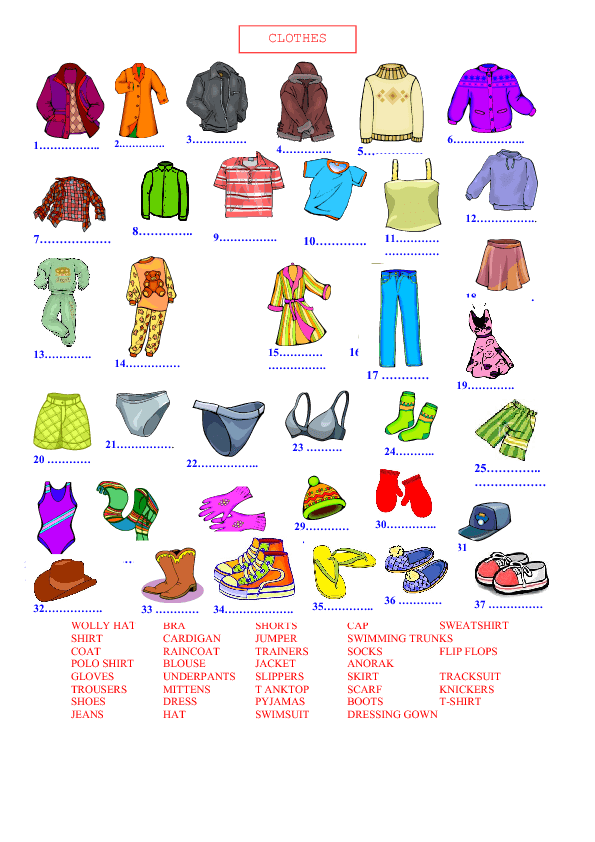 Clothes Vocabulary