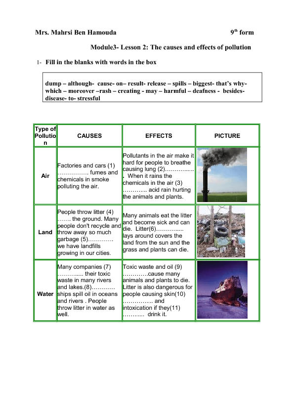 Causes and Effects of Pollution