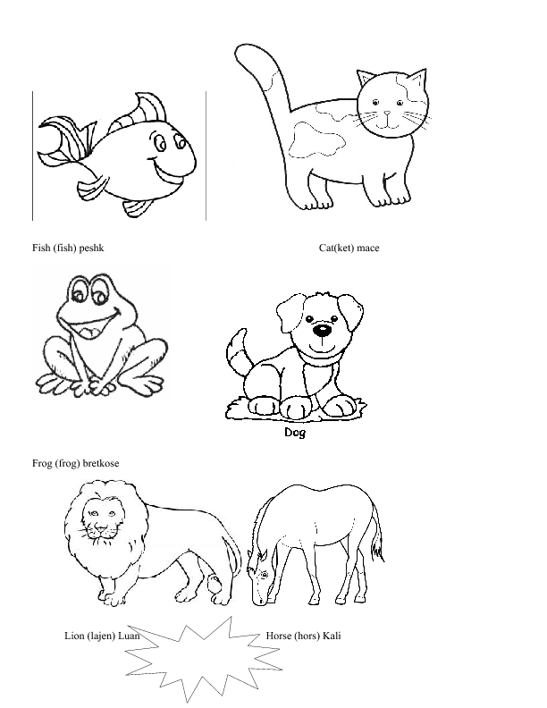 10 Animal Coloring Pages with Names for Learning Fun