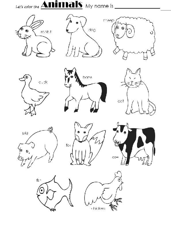 Animals Color Animals Color