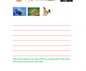 Look at the Animal and Write