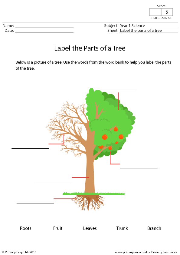 writing worksheets names kindergarten for Parts Label Tree of a the