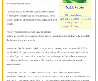 KS2 Reading Comprehension - Mosquitoes