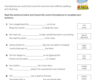 English Worksheet - Using the Correct Homophone (2)