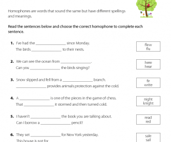English Worksheet - Using the Correct Homophone (3)