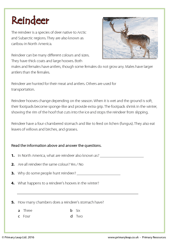 Christmas Worksheet: Reindeer - Reading Comprehension