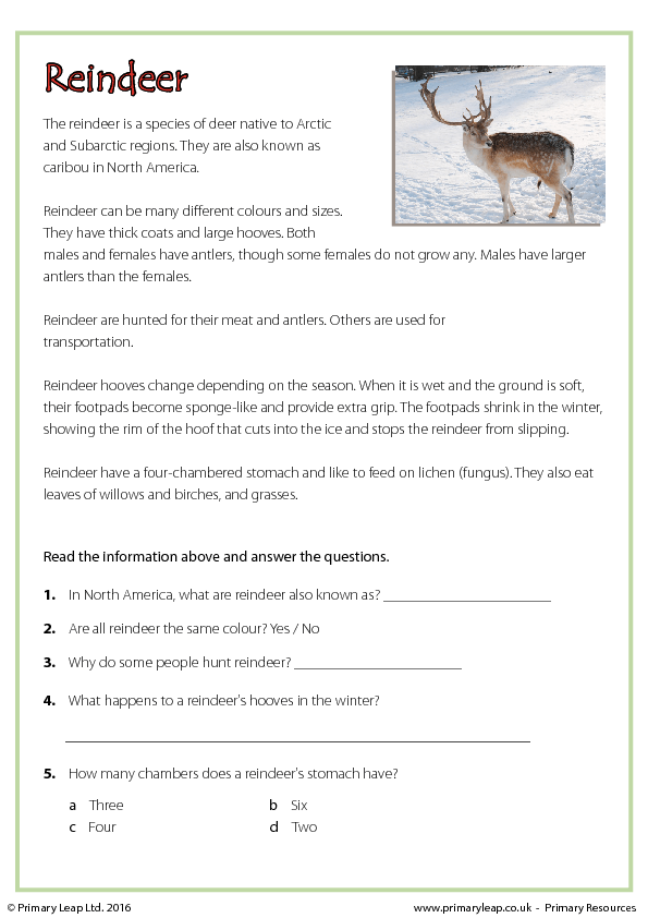 christmas worksheet reindeer reading comprehension