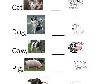 CVC Animal Names