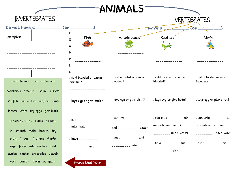 animal classification 6th grade worksheet Classification Animal Movie Worksheet: