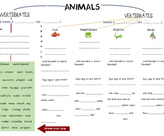 Movie Worksheet: Animal Classification